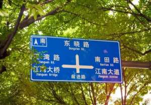 卢美美(这条路超多美食,是“地胆”才知道)