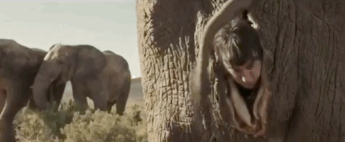 全程哈哈哈的喜剧片，我就服这10部