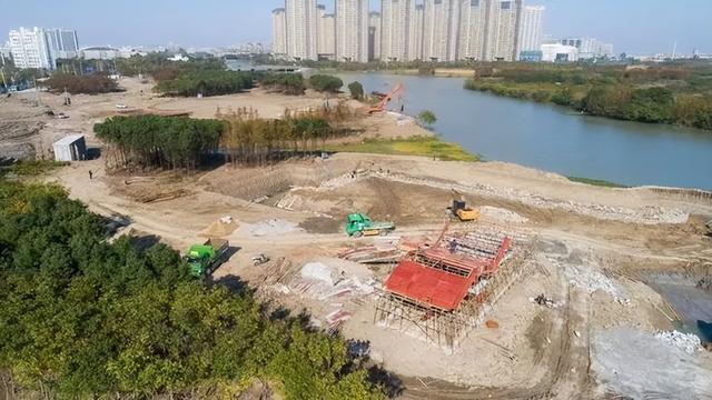剧透!平湖新规划3大公园:体育公园、植物园、梦岛公园