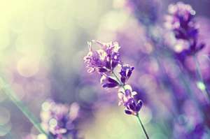 不良情侣(放不下爱过的人,记住莫言的两句话,你就赢了)