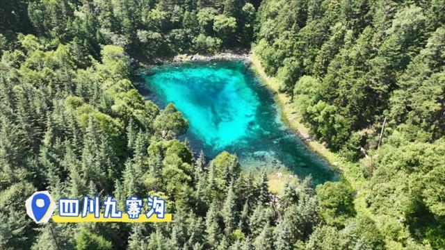 盛夏水盈五彩池 神奇九寨多变幻