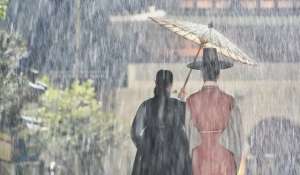 下女韩剧(令人泪流成河的韩剧《王后伞下》)