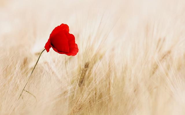 30岁,才是最好的年纪