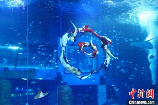 美人鱼冠军表演秀在广州举行 融合奥运元素受欢迎