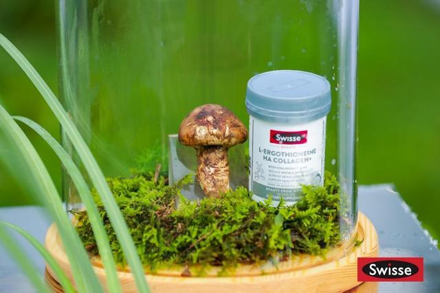 Swisse斯维诗助力健康中国建设，推行健康时尚新生活