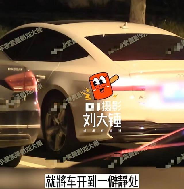 曝何九华出轨！与美女车内拥吻摸黑独处3小时，曾疑似遭王鸥逼婚