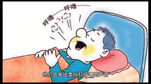 关于“疣猪”的一些冷知识 #动物世界