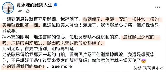 贾永婕发文还原大S临终场面:具俊晔痛哭吻别妻子,大S像睡着一样