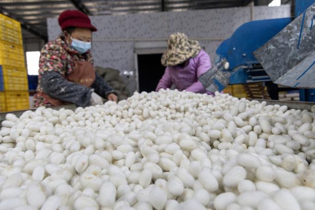 罗甸:赶订单 忙生产 奋力冲刺新年“开门红”