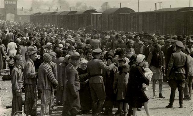 女孩对德军说：叔叔可以把我埋浅点吗？我怕妈妈找不到，结果如何