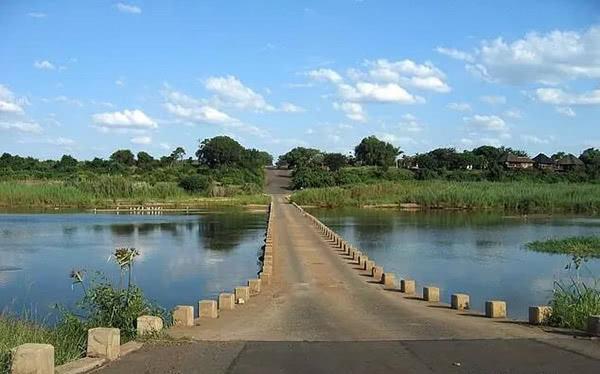 他进入保护区偷猎犀牛，先被大象踩死，又被狮群吃掉……