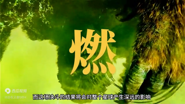 黑金刚大战骷髅大蜥蜴，一部被遗忘的经典电影，敬畏金刚