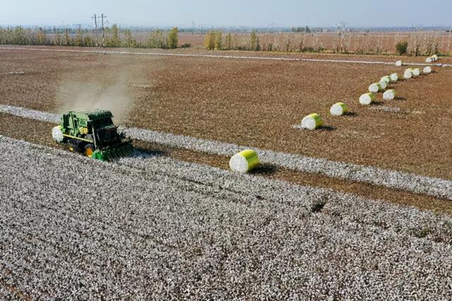 优衣库创始人谈新疆棉事件：我不玩
