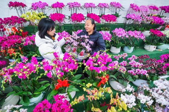 浙江金华:苗木花卉市场活力涌动