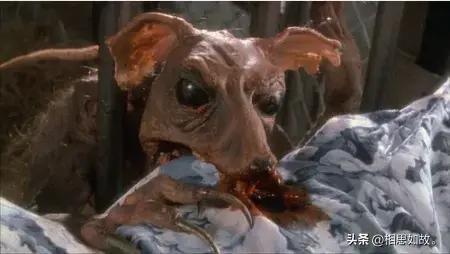 三部重口味欧美电影，大尺度黄暴恐怖经典老电影推荐