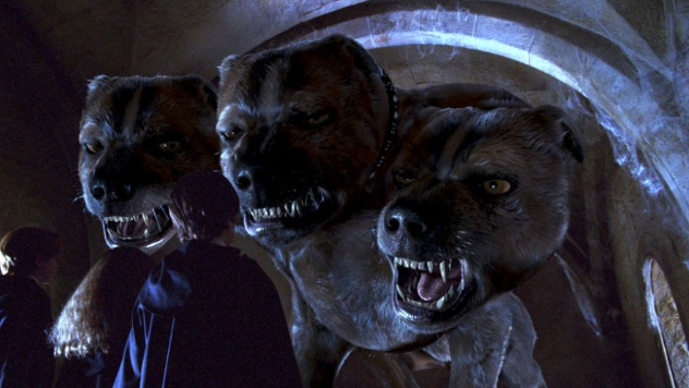 海格养过的那些奇怪的宠物们,各个长相怪异,第几个让你心动?