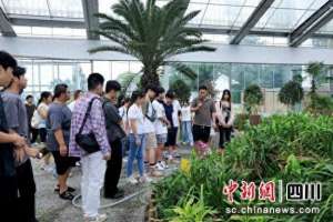 台湾国庆节(2024年在川台湾大学生国庆联欢活动举办)