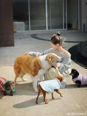 赵露思是谁(刚刚赵露思发长文：我真的没有好，抑郁症是个“长期战”)