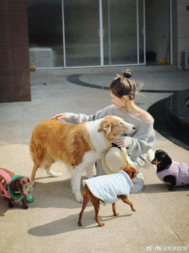 刚刚!赵露思发长文:我真的没有好,抑郁症是个“长期战”