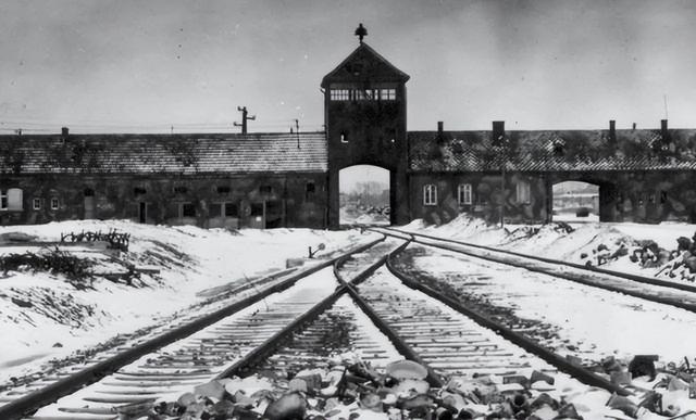 女孩对德军说：叔叔可以把我埋浅点吗？我怕妈妈找不到，结果如何