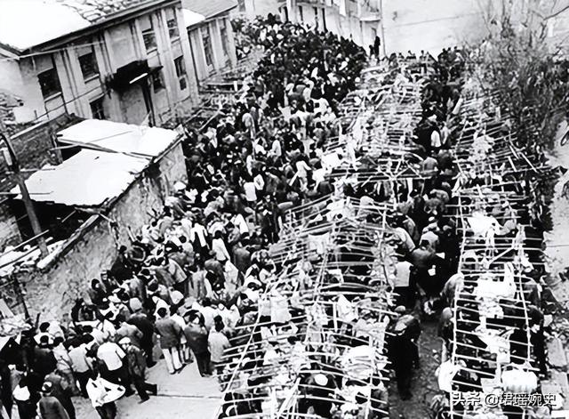 浙江女首富330亿身家,却一夜变老赖,40年打的天下毁于她的欲望