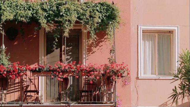 《芒果头条》全新上线！首期盘点“明言明语”：原来误会晓明哥了