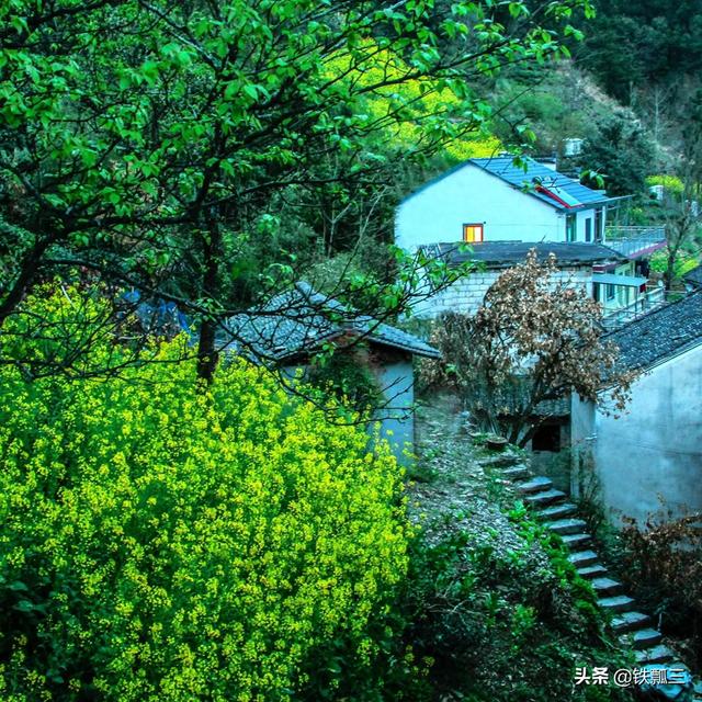 鹧鸪天：《春居》