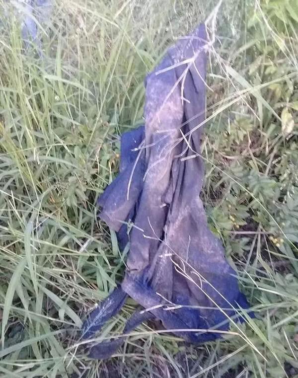 他进入保护区偷猎犀牛，先被大象踩死，又被狮群吃掉……