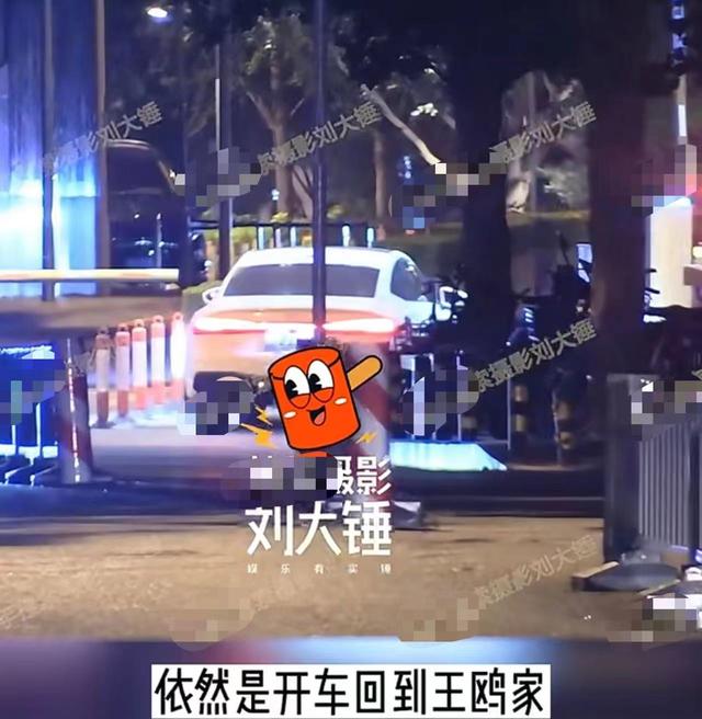 曝何九华出轨！与美女车内拥吻摸黑独处3小时，曾疑似遭王鸥逼婚