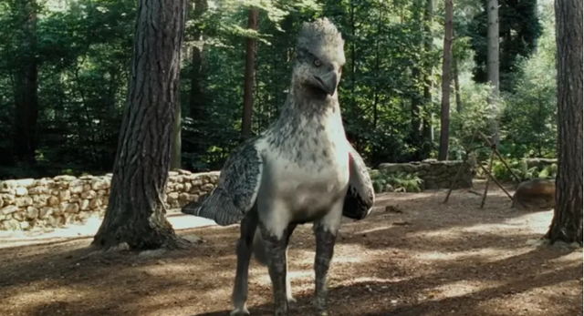 海格养过的那些奇怪的宠物们,各个长相怪异,第几个让你心动?