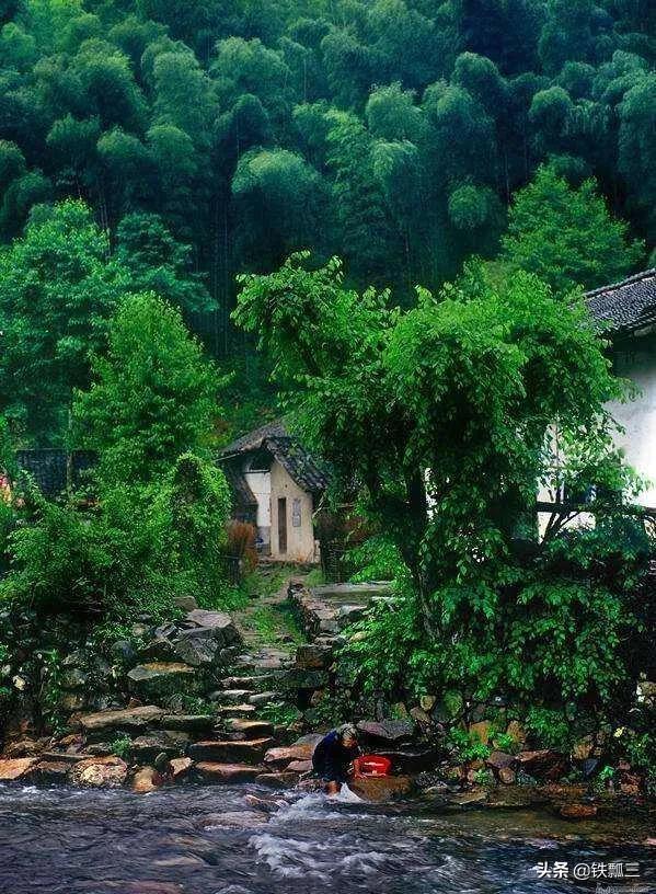 鹧鸪天：《春居》