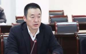 洪斌(洪斌被“双开”，曾被两次党内警告)