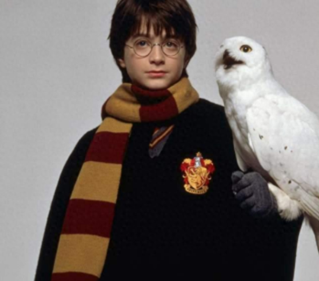 海格养过的那些奇怪的宠物们,各个长相怪异,第几个让你心动?