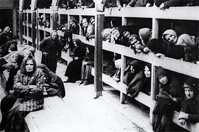 女孩对德军说：叔叔可以把我埋浅点吗？我怕妈妈找不到，结果如何