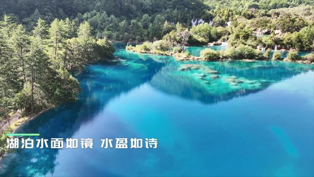 盛夏水盈五彩池 神奇九寨多变幻