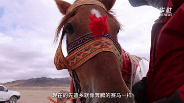 秀我中国|进藏先遣连“银元”的故事