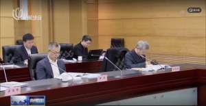 张为为(“70后”张为现身上海市政府重要会议)