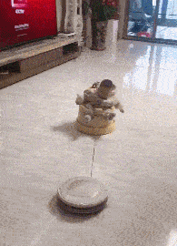 她是主演《肉蒲团》的3D女神，如今混迹直播间，颜值大变