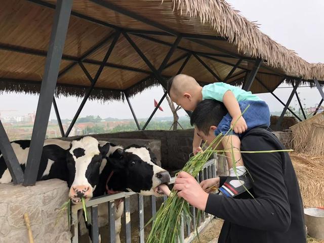 周末去哪儿？带娃去成都周边当个小小“农夫”吧！