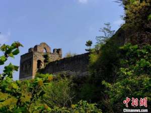 女主播 推下长城(河北“长城楼长”张鹤珊:长城是我生命的一部分)