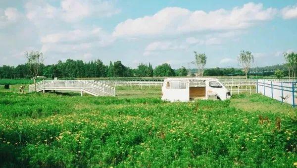 周末去哪儿？带娃去成都周边当个小小“农夫”吧！