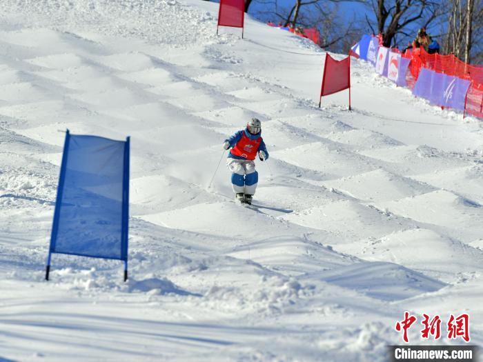 自由式滑雪雪上技巧世界杯北大湖站:日本美国选手夺冠