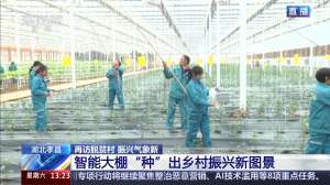 再访脱贫村 振兴气象新丨一拿一放完成种菜 江河村的大棚有多智能?