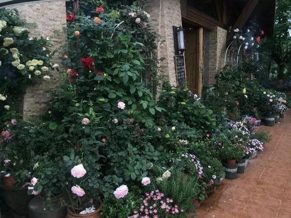 周末去哪儿？带娃去成都周边当个小小“农夫”吧！