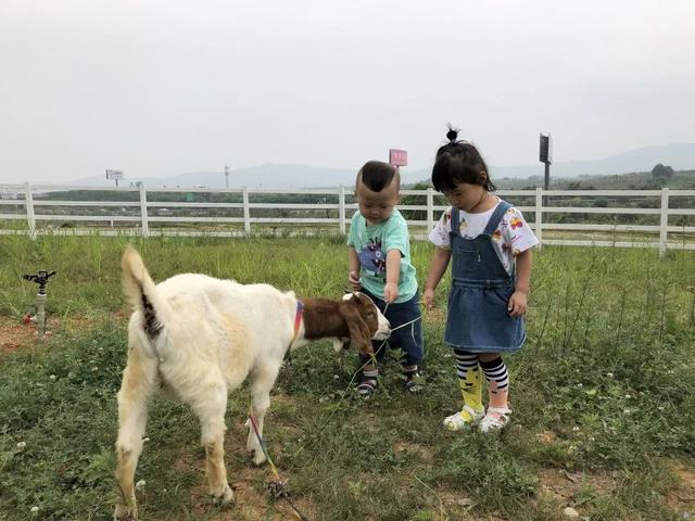 周末去哪儿？带娃去成都周边当个小小“农夫”吧！
