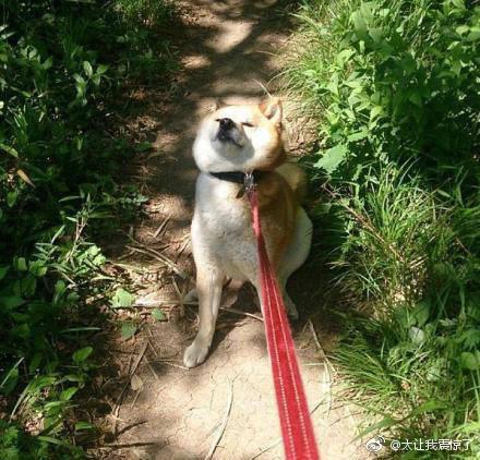 男子因领结婚证当天赖床，被未婚妻点燃裤裆烧伤