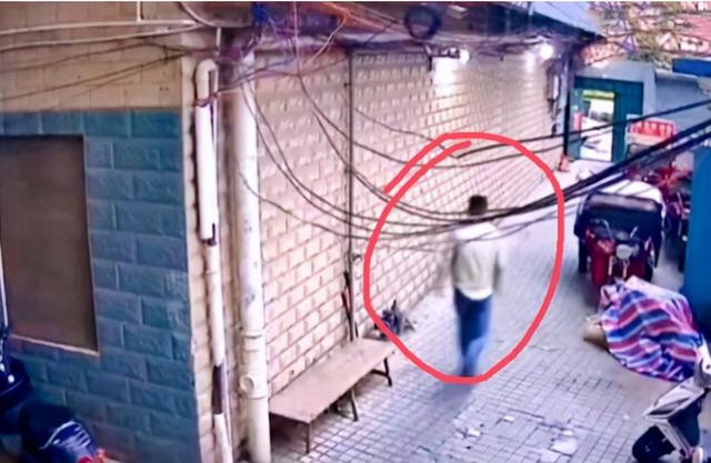 变态深夜藏在女主播床底遭发现，下跪求原谅：我喜欢你很久了