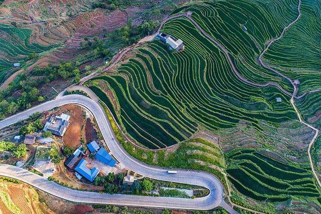 二本毕业女生成了一名保洁员,弟弟质问“为什么读大学”