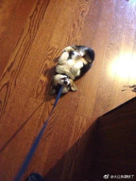 男子因领结婚证当天赖床，被未婚妻点燃裤裆烧伤