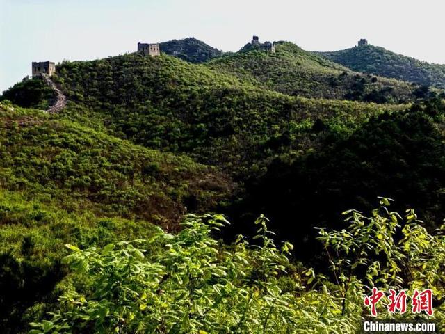 河北“长城楼长”张鹤珊：长城是我生命的一部分